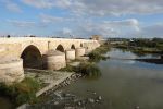 PICTURES/Cordoba - The Roman Bridge/t_Roman Bridge 3.JPG